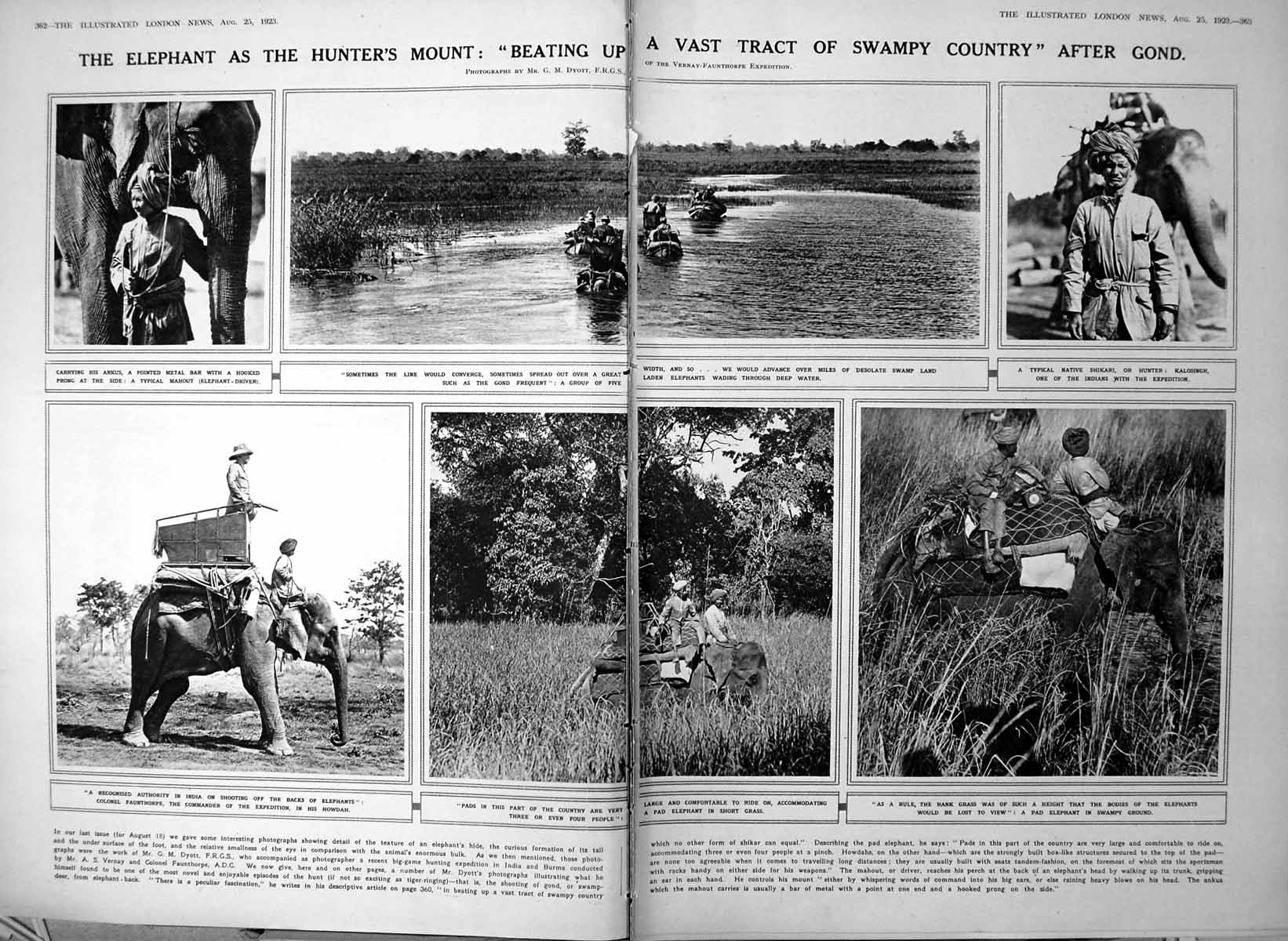 Antique Old Print Damaged Use Elephant Hunting Gond De Valera'S Arrest 1923