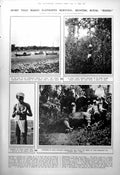 Old Print Hunting Royal Rhino Nepal Elephants Following Spoor Shot 1923 20th