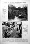 Old Print Nepal Rhinoceros Haunts Hard Skin Bones Skinned On Ground 1923 20th