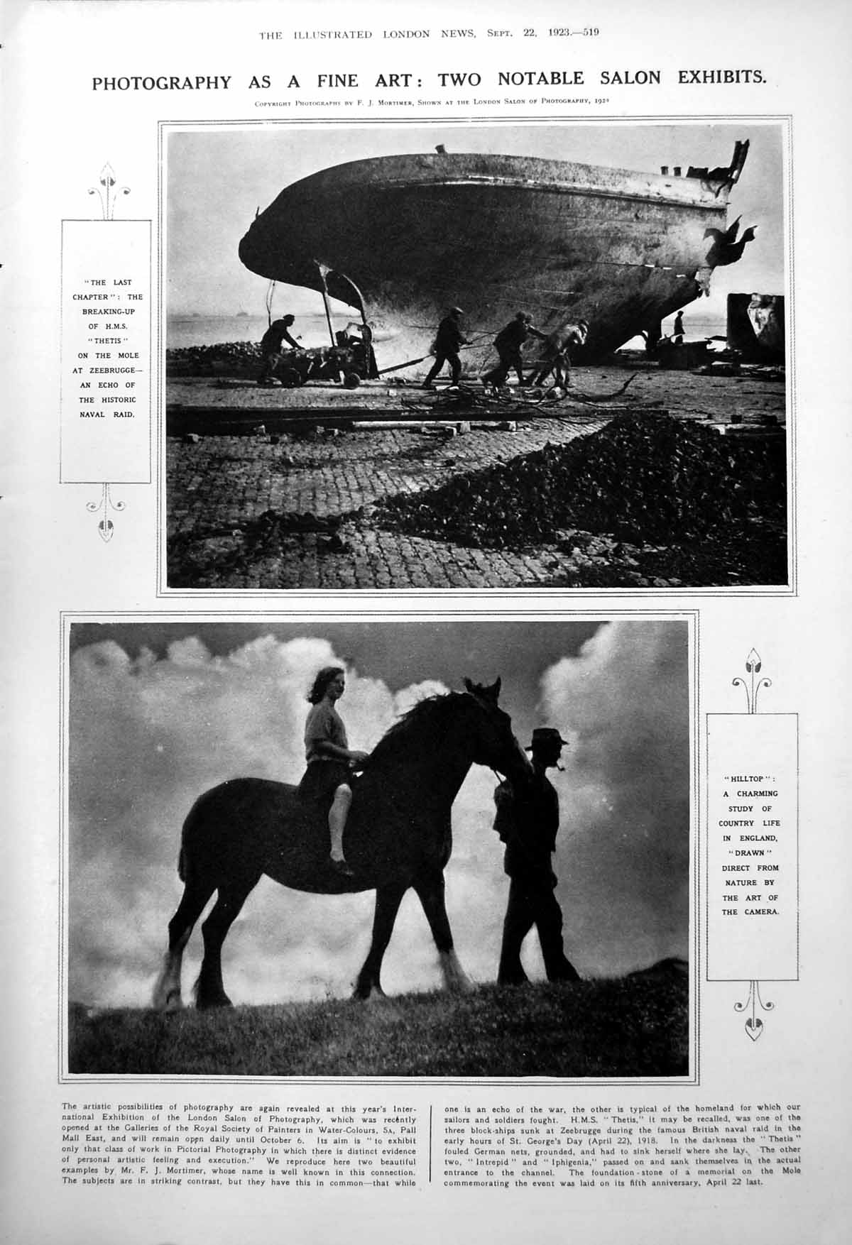 Antique Old Print Breaking Hms Thetis Hilltop Study Owl Long-Eared Nest 1923