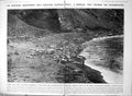 Antique Old Print Damaged Elephant Seals Guadalupe Unafraid Man Beach 1923