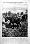 Old Print Chalicothere Recreated Claw 100000 Mark Note Used Advert 1923