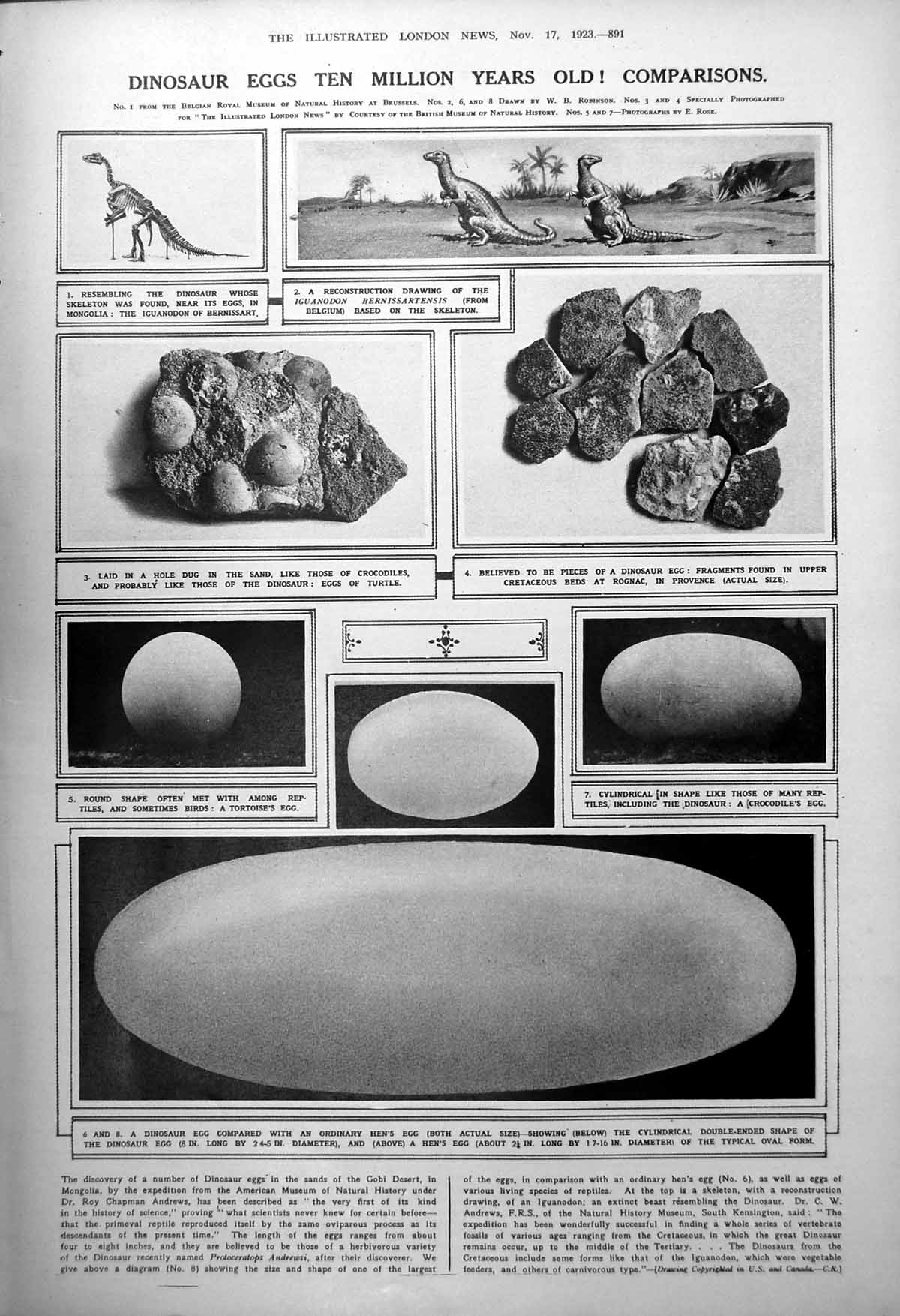 Antique Old Print 10M Year Dinosaur Eggs Comparisons Tutankhamen Bows 1923