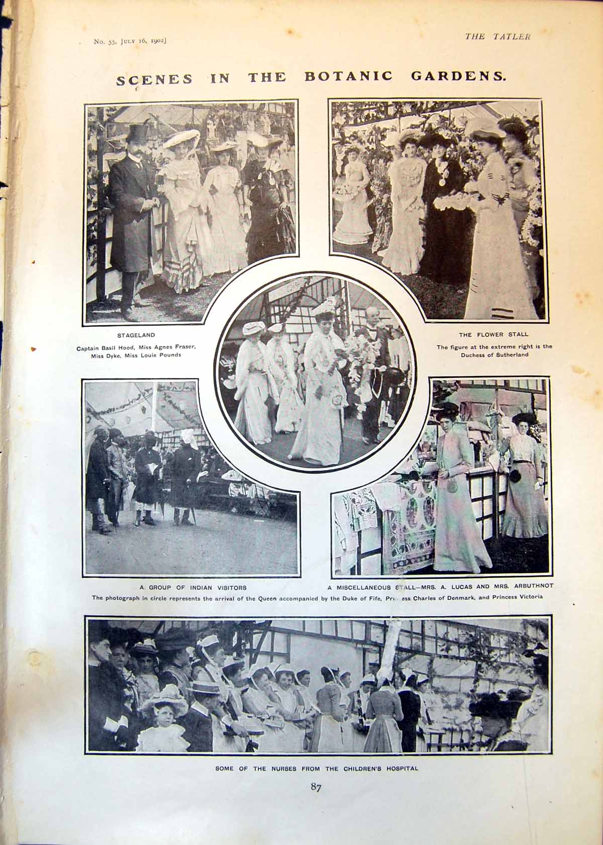 Old Print Botanic Gardens Flower Stall Lord Kitchener General French 1902 20th