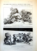 Old Print Lord Salisbury Back Wall H Furniss Prime Minister Gallery 1902 20th