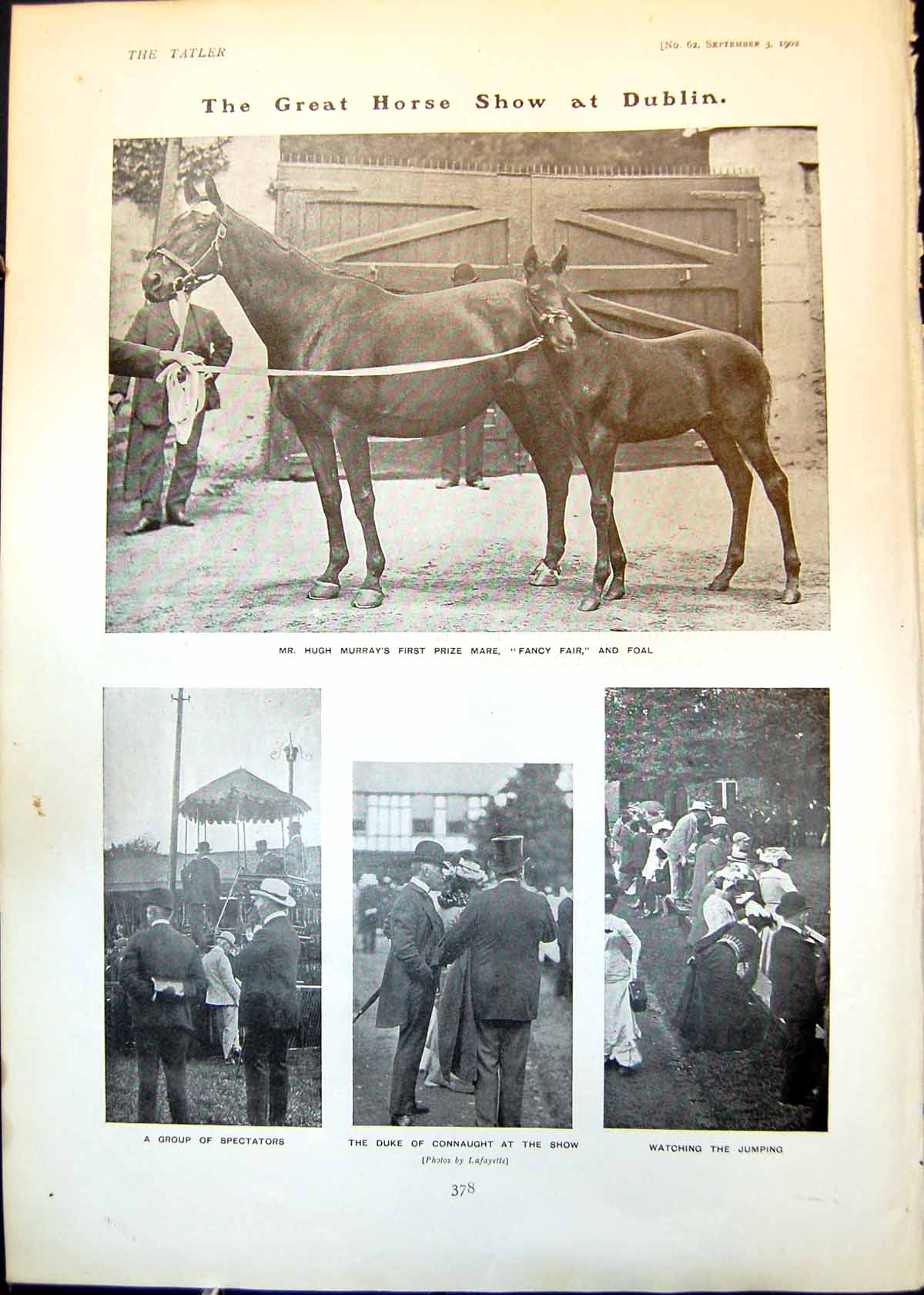 Antique Print Horse Show Dublin Duke Connaught King Highlander Mr Doel 1902