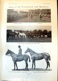 Old Prizewinners Dublin Horse Show Montague Holbein Swim Channel1902 20th