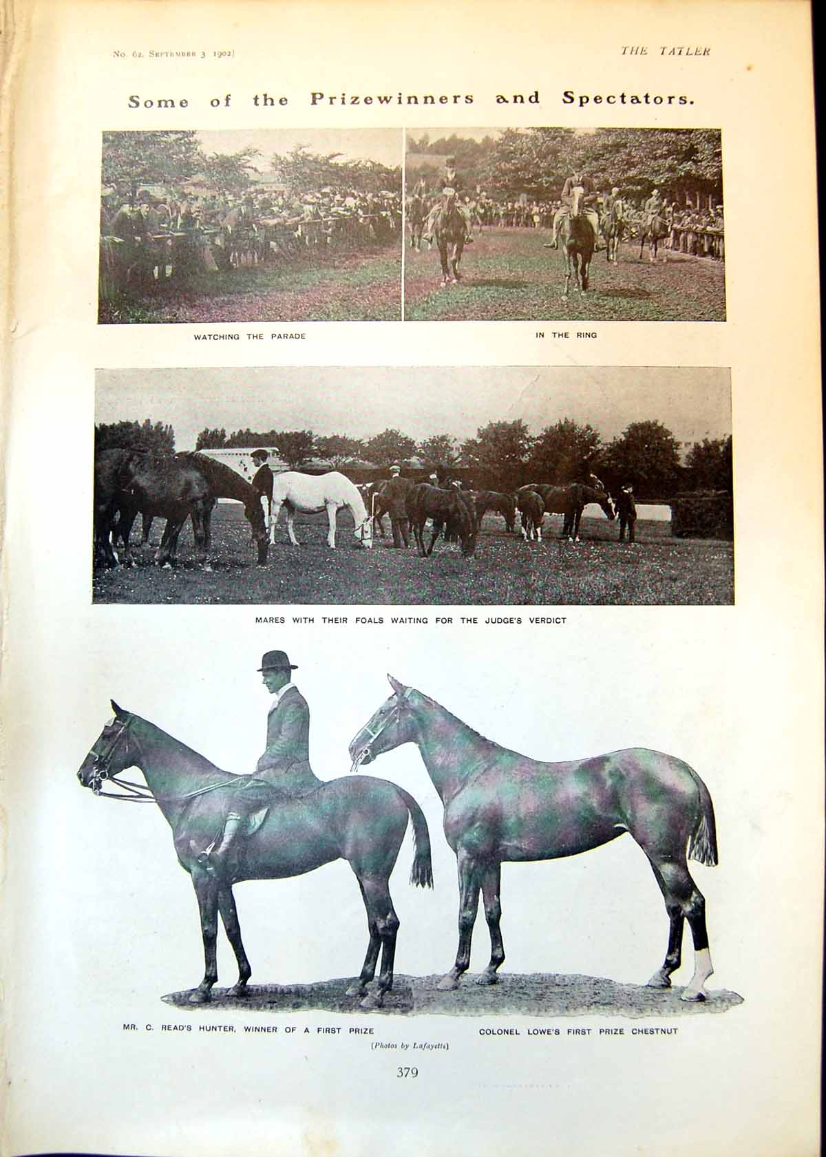 Old Prizewinners Dublin Horse Show Montague Holbein Swim Channel1902 20th