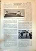 Antique Old Print Cricket Dining Room Table Market Harborough Dog Show 1902