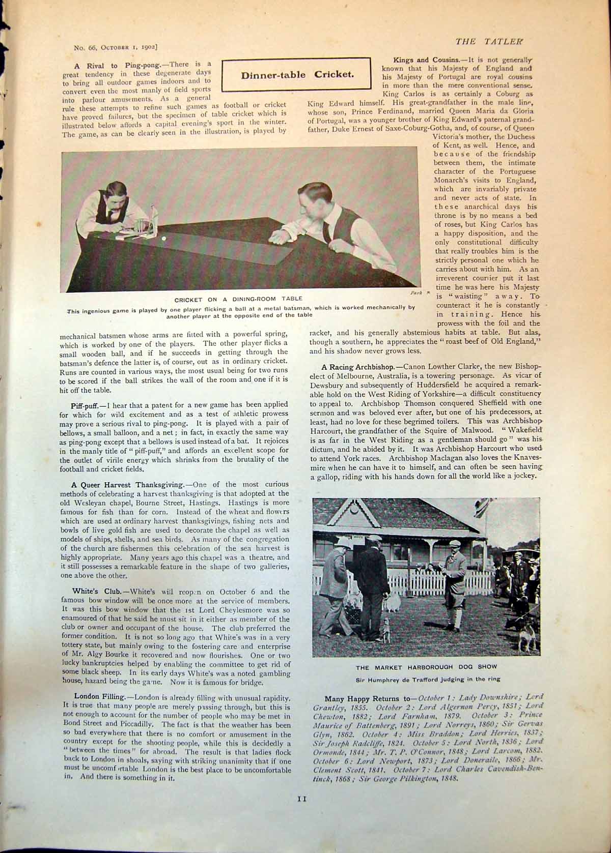 Antique Old Print Cricket Dining Room Table Market Harborough Dog Show 1902