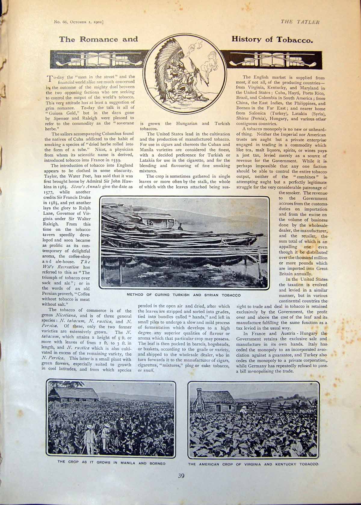 Antique Print Curing Turkish Syrian Tobacco Crop Golfers Assoc Romford 1902