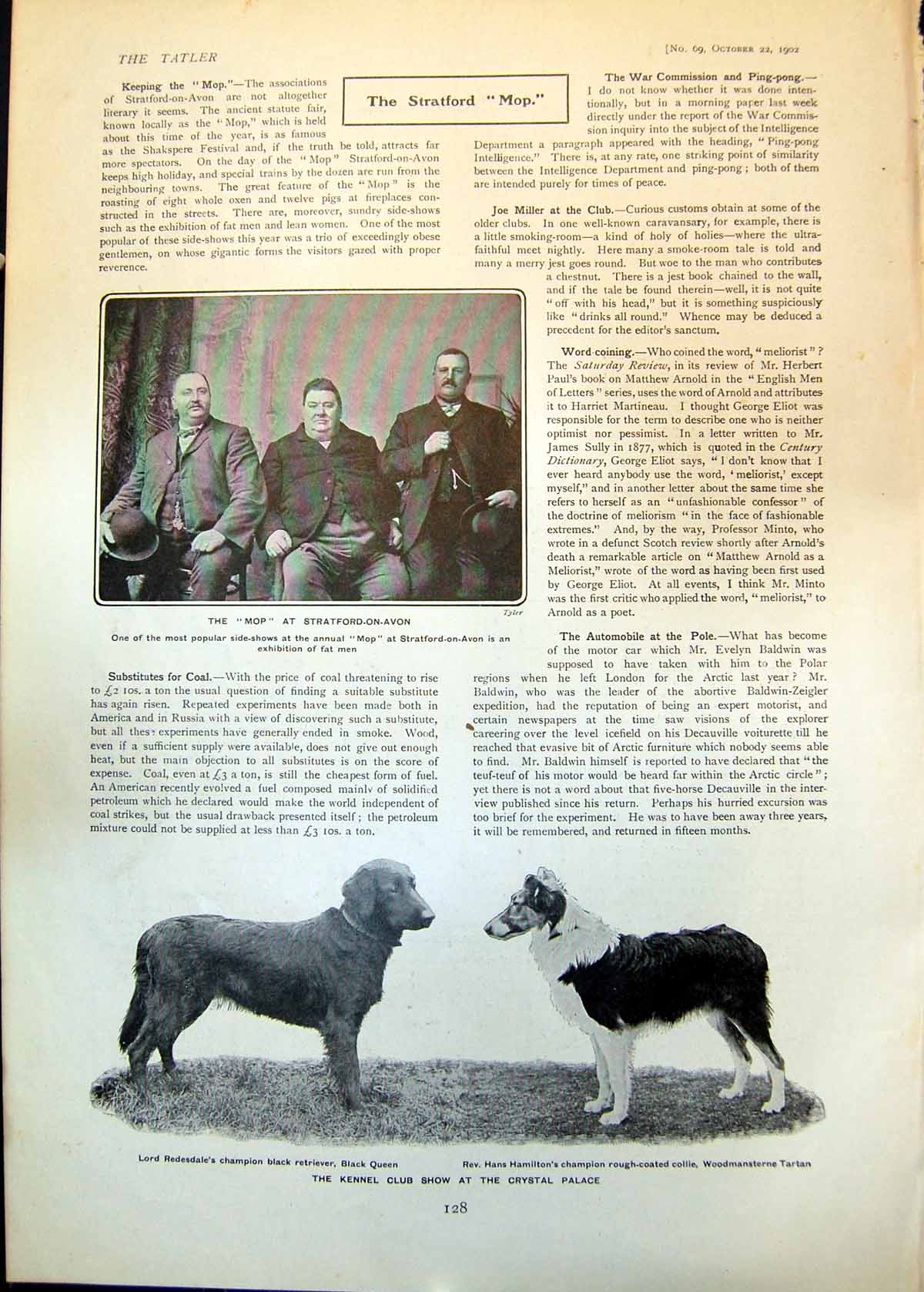 Antique Old Print Mop Stratford On Avon Kennel Club Show Crystal Palace 1902