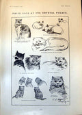 Old Prize Cats Crystal Palace Malayan Bears Japanese Cruiser Asama 19 20th