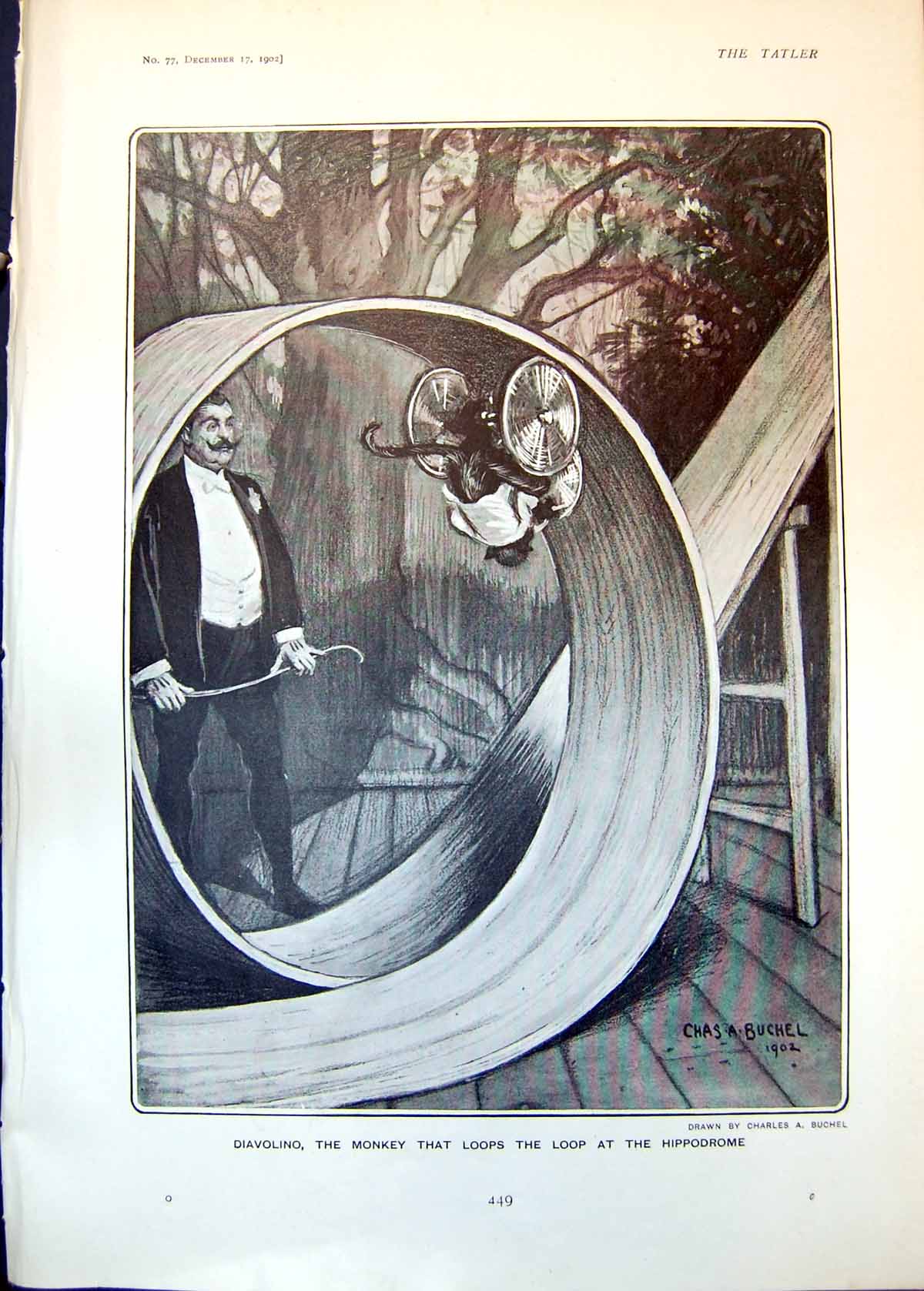 Original Old Antique Print Diavolino Monkey Loops Loop Hippodrome 1902 20th