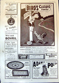 Old Antique Print Birds Custard Powder Adams Furniture Polish Bovril 1905 20th