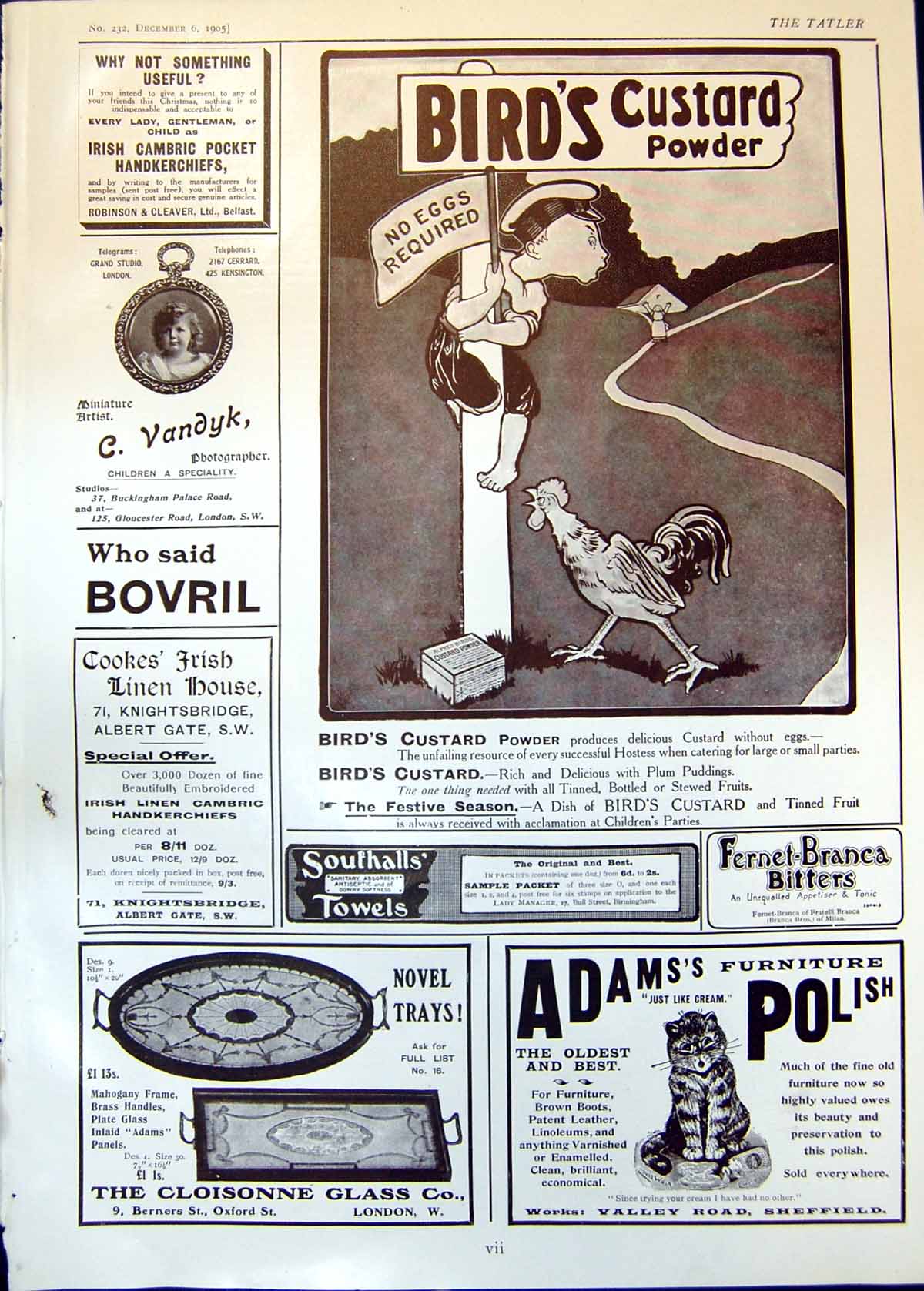 Old Antique Print Birds Custard Powder Adams Furniture Polish Bovril 1905 20th