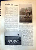 Antique Old Print Shooting Pheasants Grouse Casuals V London Caledonians 1903