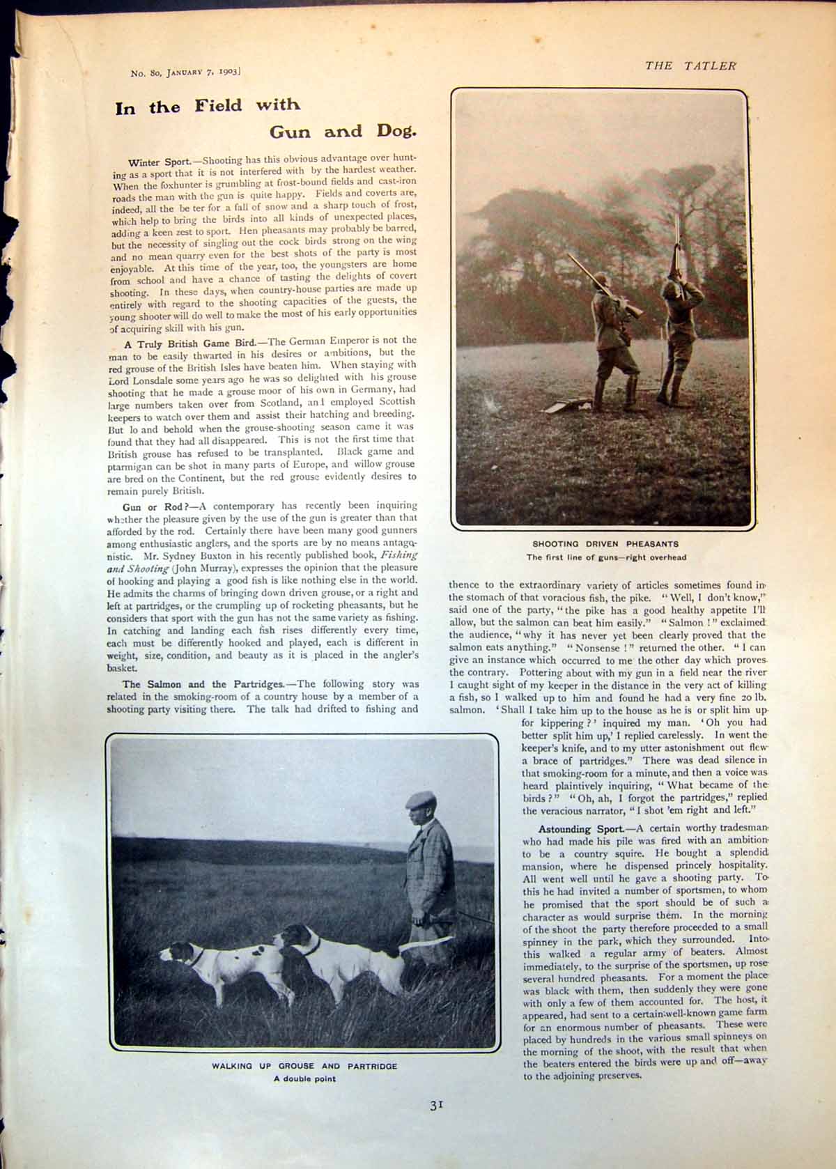Antique Old Print Shooting Pheasants Grouse Casuals V London Caledonians 1903