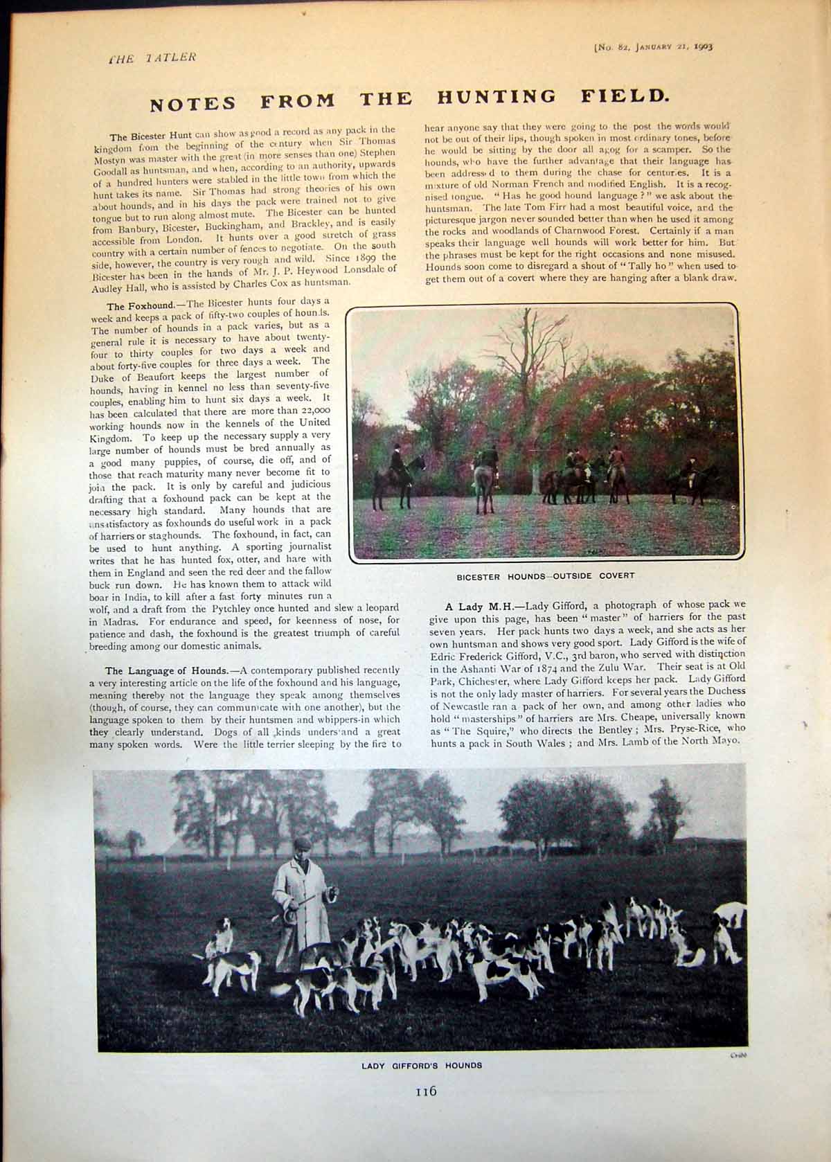 Antique Old Print Bicester Hounds Outside Covert Lady Giffords Hounds 1903 20th