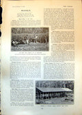Old Print Edom Tree Attasi Mines Wassau West Africa Sawmill Princisu 1903 20th