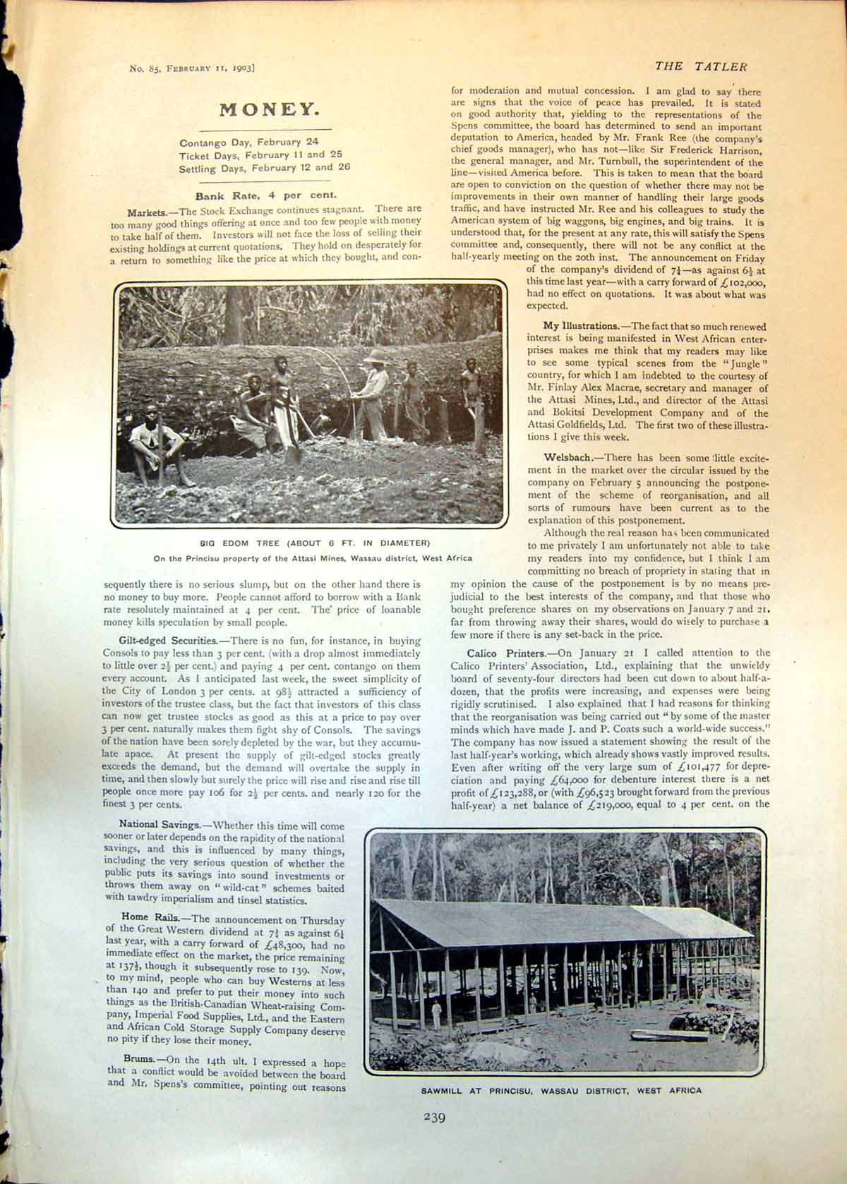 Old Print Edom Tree Attasi Mines Wassau West Africa Sawmill Princisu 1903 20th