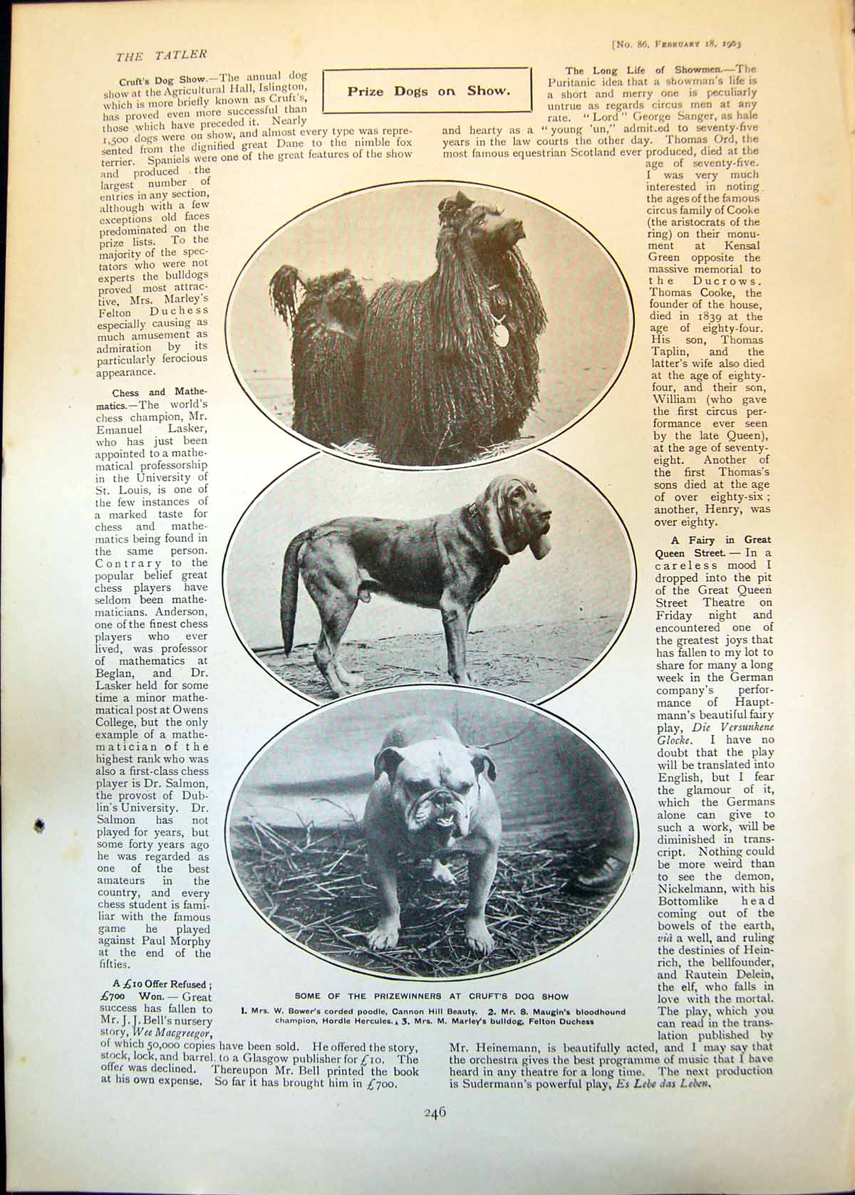 Old Prizewinners Crufts Dog Show Herth Rug Confidence Golf Desert 190 20th
