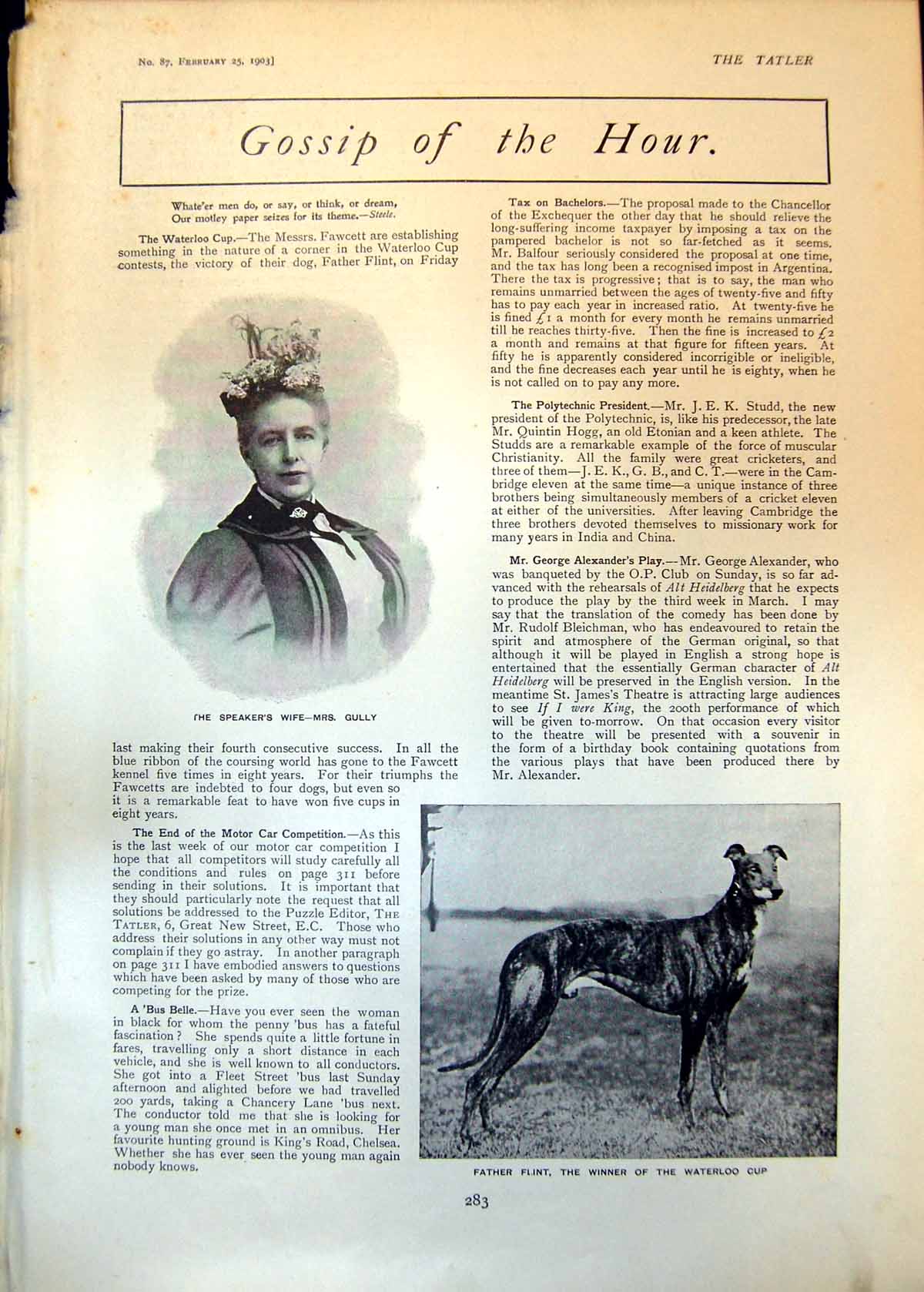 Old Speakers Wife Mrs Gully Father Flint Dog Race Capt Pellier Johnso