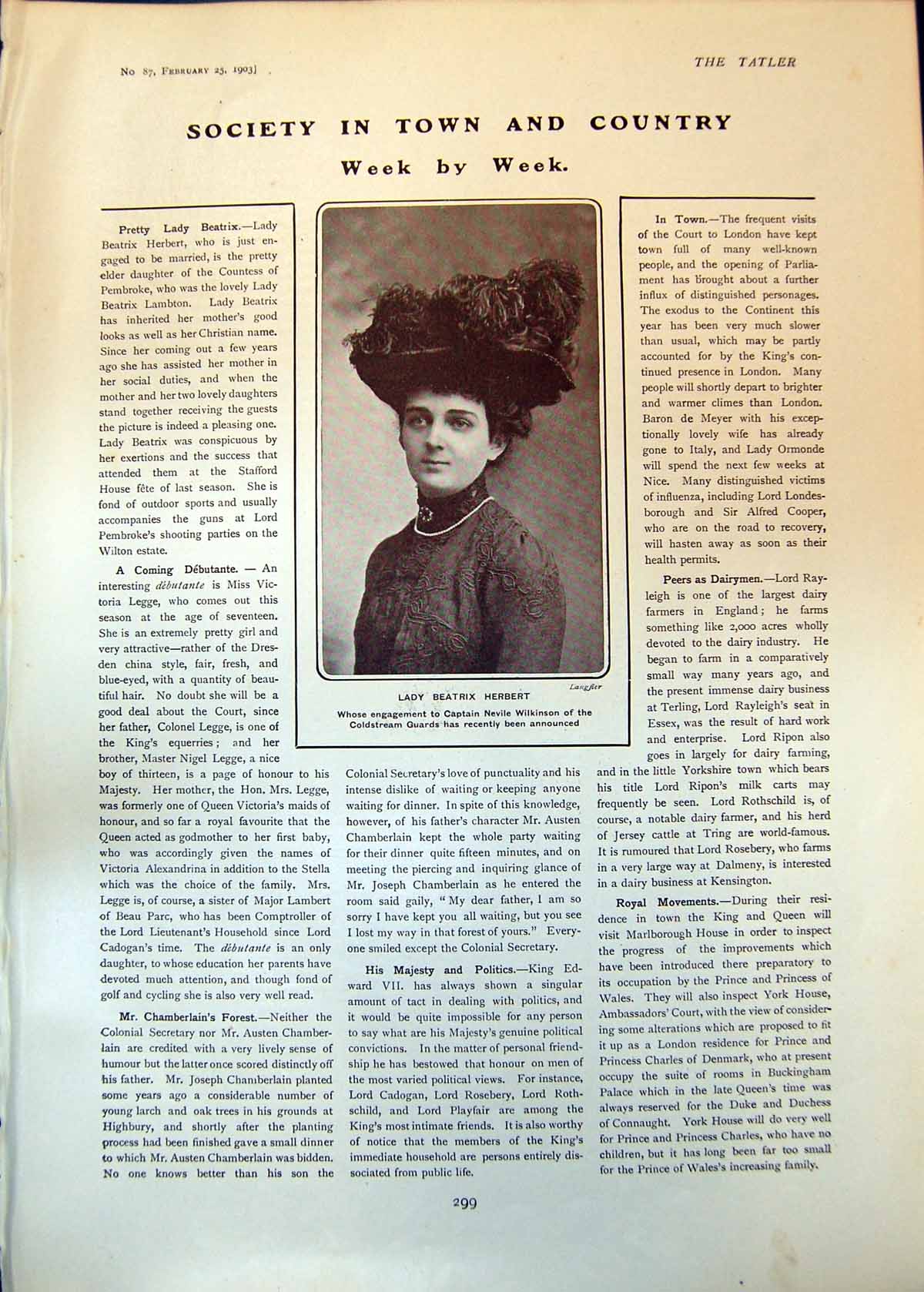 Antique Old Print Lady Beatrix Herbert Crimson Ramblers Arthur Thesinger 1903
