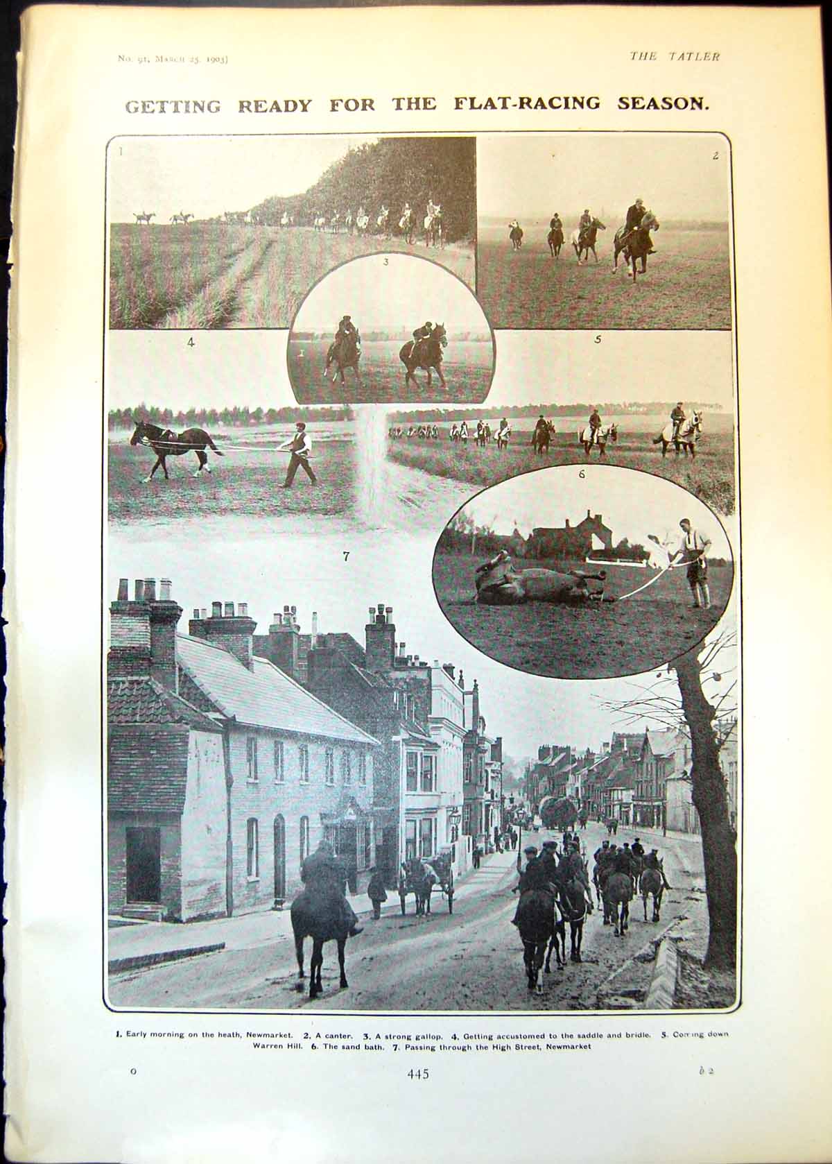 Old Preparing Flat Racing Season High St Newmarket Canter Gallop 1903 20th