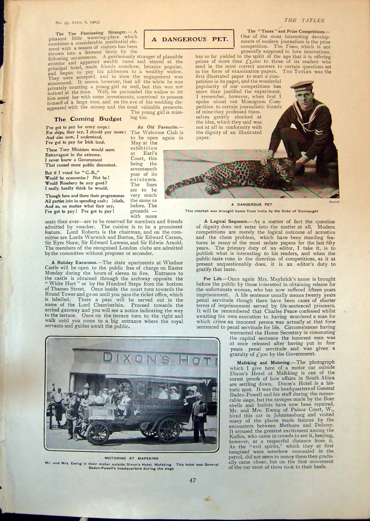 Antique Old Print Cheetah India Mr Mrs Ewing Car Dixons Hotel Mafeking 1903