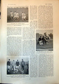 Old Print W Grace Wooddale Beagles Oxford Cambridge Sports H Gregson 1903 20th