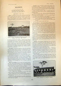 Antique Old Print Camp Mantraim Wassau GCoast West Africa Native Village 1903