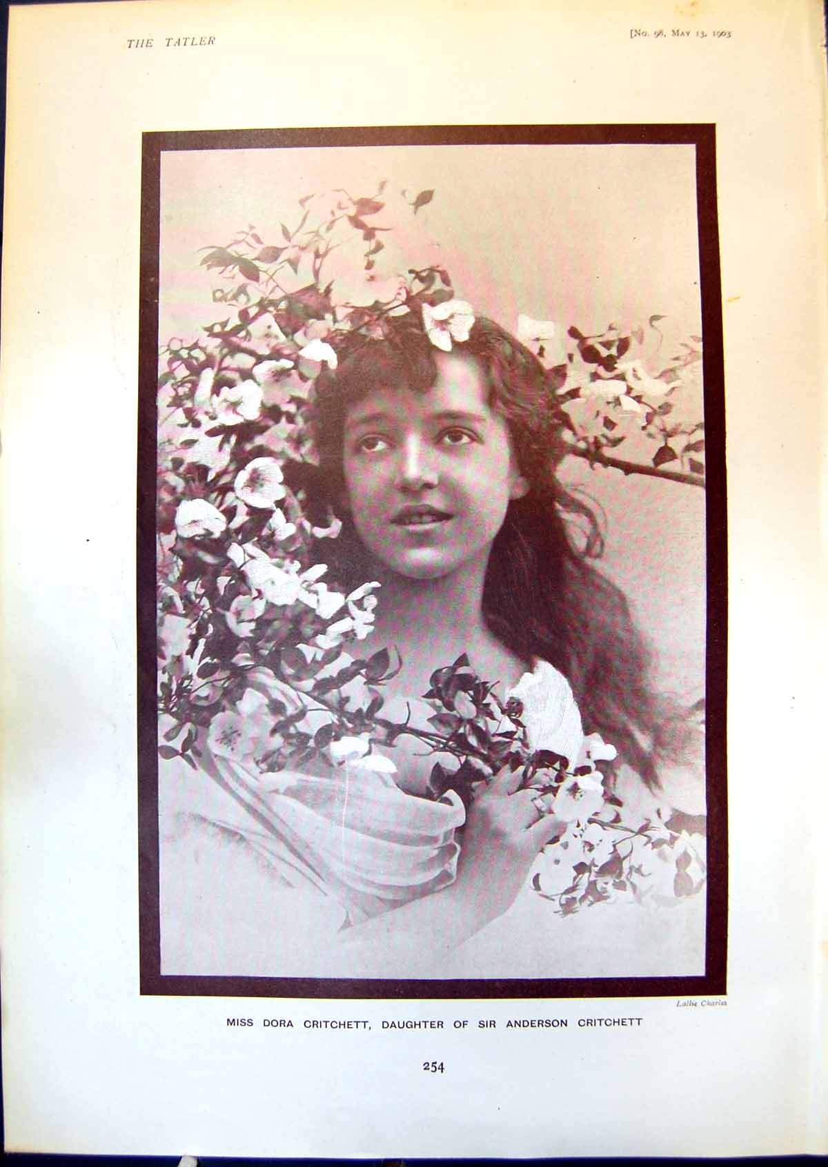 Antique Print Dora Critchett Lady Rosemary Cairns Lavender MarigForbes 1903