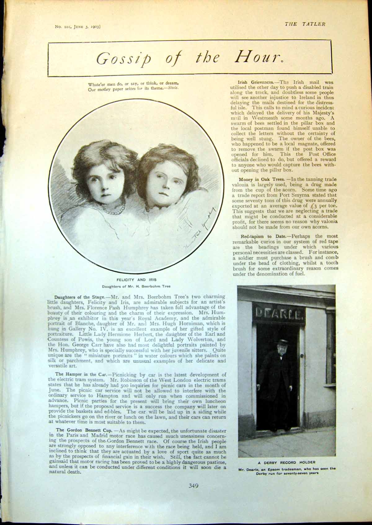 Old Felicity Iris Tree Mr Dearle Epsom Tradesman M Tchigorin Chess 19 20th