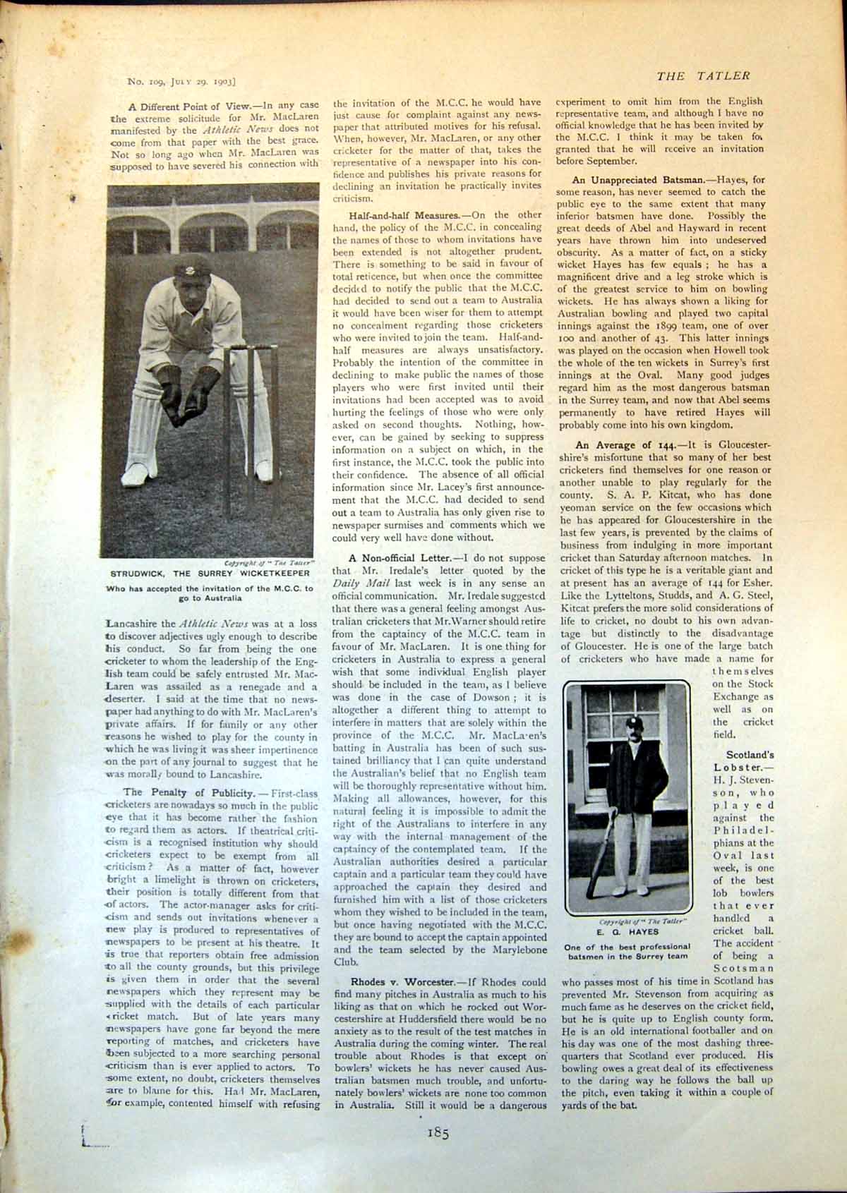 Old Strudwick Surrey Wicketkeeper Australia E G Hayes Batsman Surrey1