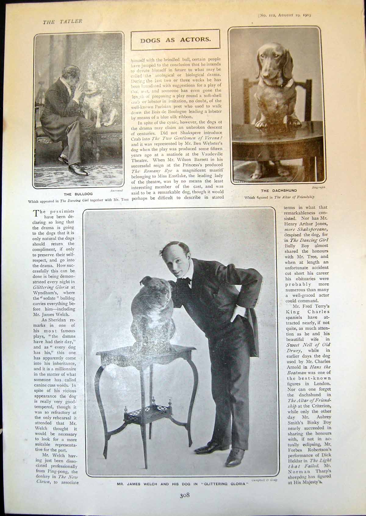 Old James Welch Dog Dachshund Bulldog Lennox Pawle Louie Pounds 1903 20th