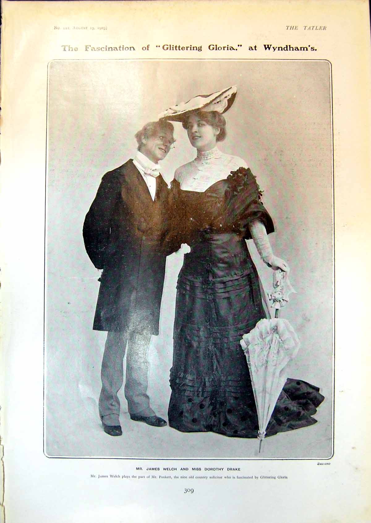 Old Glittering Gloria Wyndhams Berkshire Pig Silver Control World 190 20th