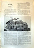 Old Wheat Pile Arribenos Station Argentine Texada Iron Mine Quarry 19 20th