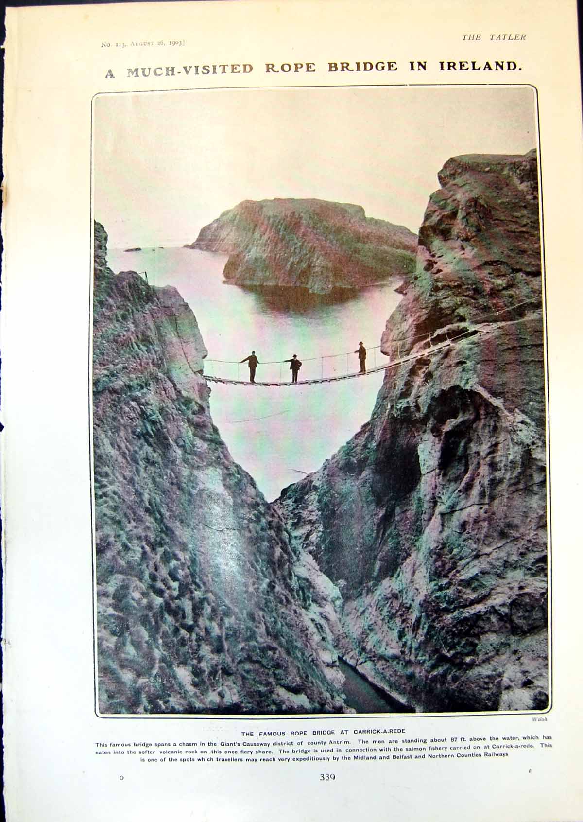 Old Rope Bridge Carrick A Rede Prince Princess Denmark Firstborn 1903 20th