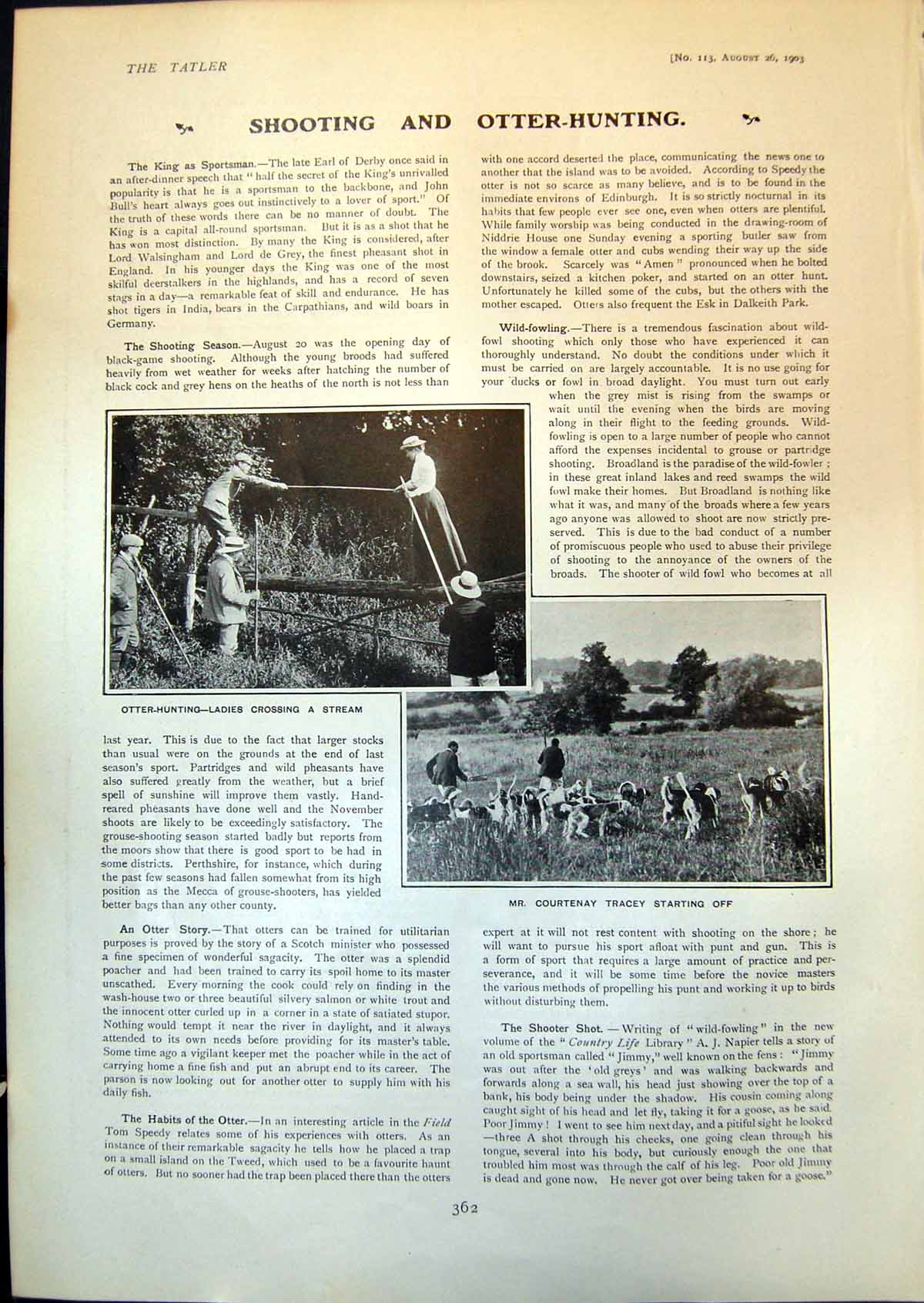 Old Otter Hunting Shooting Mr Courtenay Hounds Youthful Bathers 1903 20th