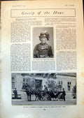 Old King Marienbad Weimar Hotel Dublin Horse Show Harness Horse 1903 20th