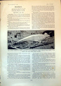 Old Washing Bank Mining Co Iron Ore Bugaboo Creek Vancouver Island190 20th