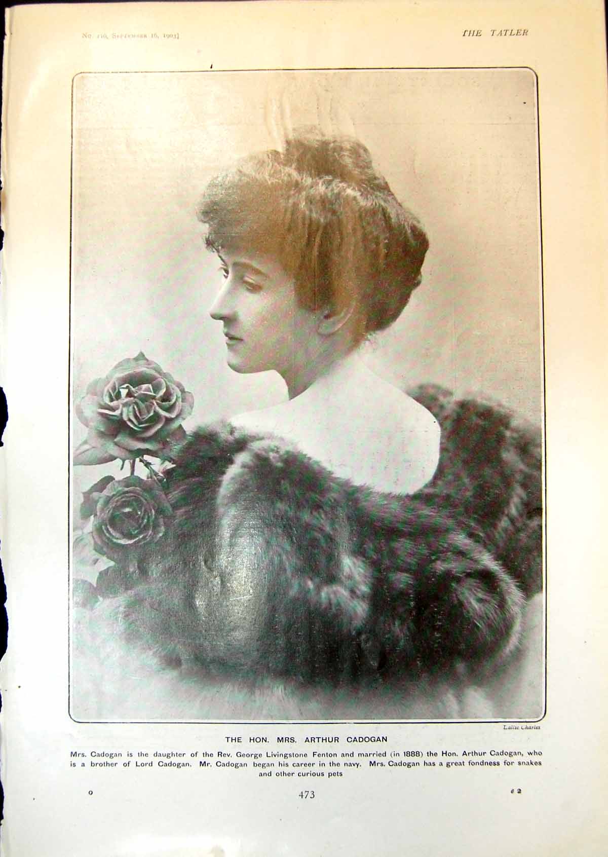 Old Mrs Arthur Cadogen Robert Goelet Elsie Whelen Floors Castle 1903 20th
