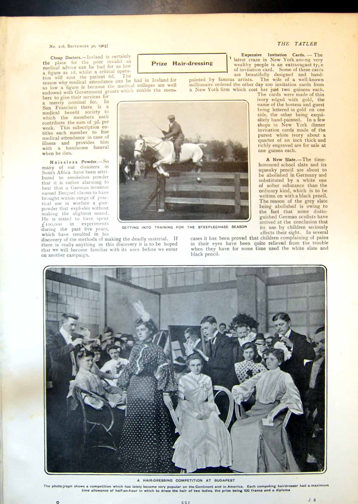 Old Hair Dressing Competition Budapest Boiling Shrimps Beagle Show 19 20th