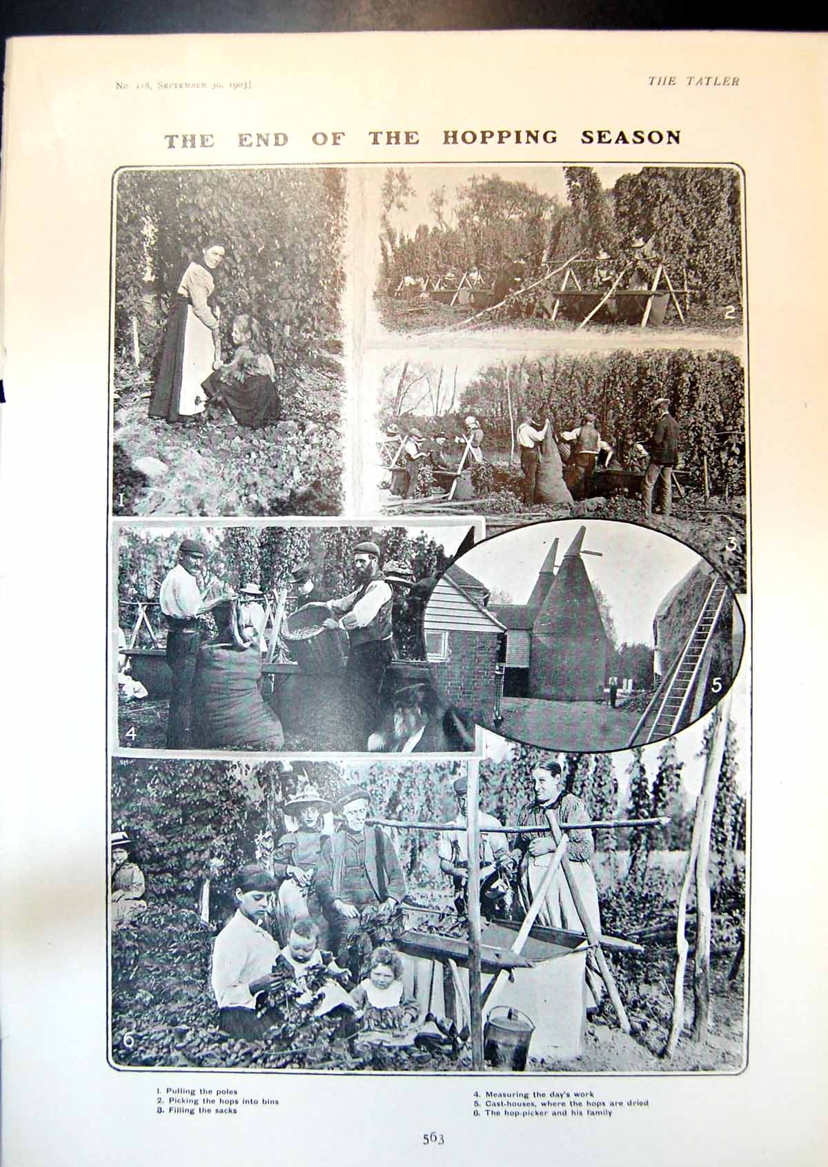 Old End Hopping Season Cast Houses Alice Lonnon Cardinal St James 190 20th