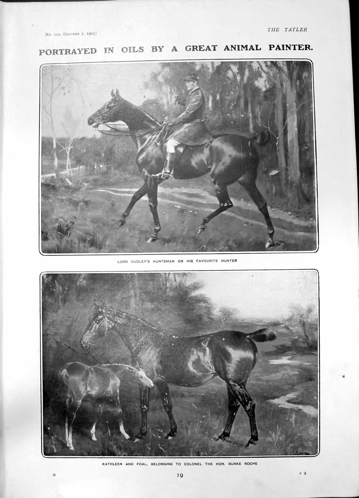 Old Lord Dudleys Horse Burke Roches Foal Lady Edmondstones Sons 1903 20th