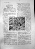 Old Print Sarita Iron Mine Vancouver Island Exposure Magnetite Bluff 1903 20th
