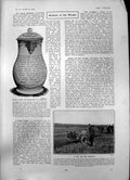 Antique Print China Jar Lowestoft Donkeys Colosseum Oban Chapel Royal 1903 20th