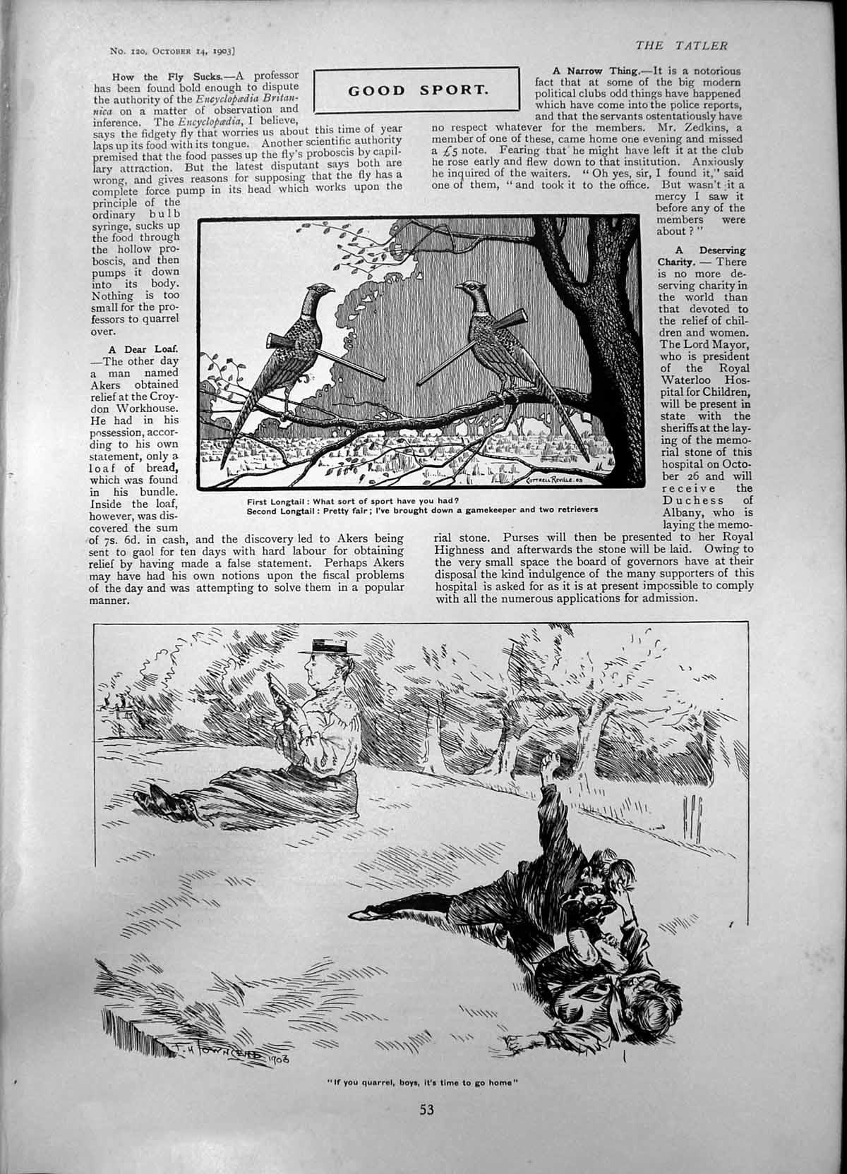 Old Antique Print Humour Longtails Boys Quarreling Tom Morris Golfer 1903 20th