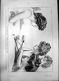 Old Weaker Sex C Gibson Capt Fortescue Kings Equerry Lily Brayton 190 Victorian